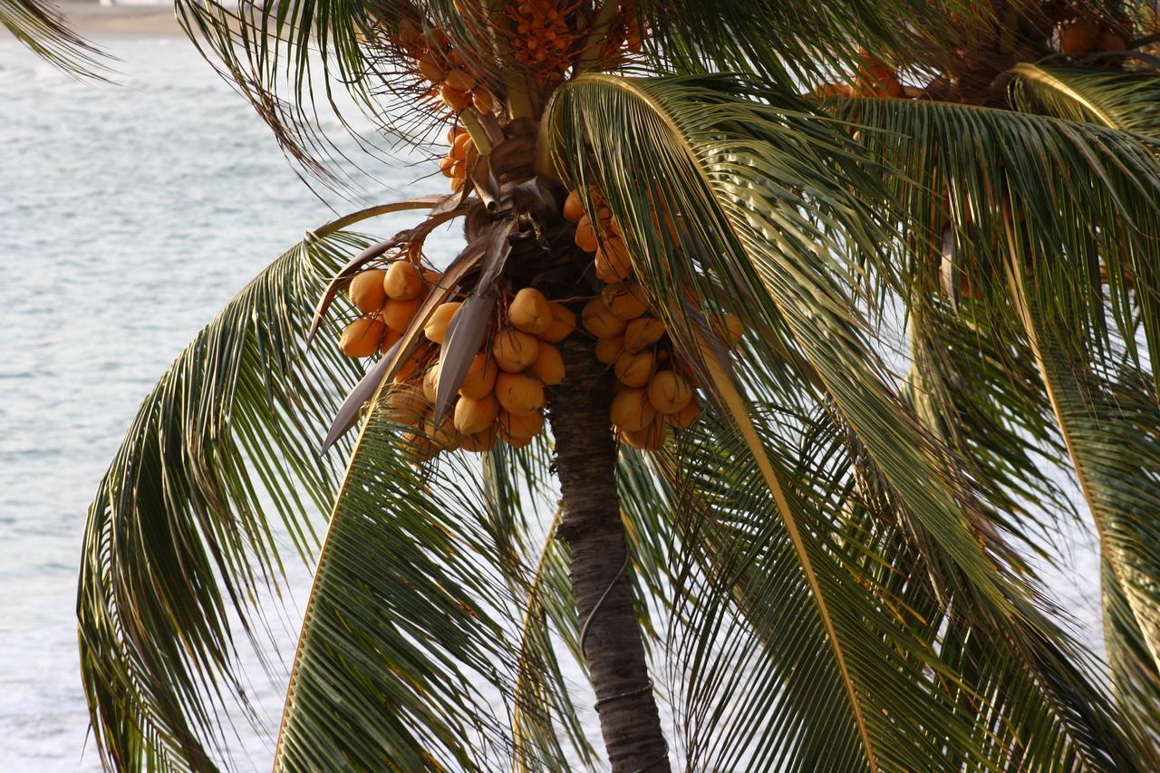 Playa De Santiago Hotel Manzanillo Eksteriør billede